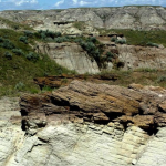 The Impact of Fossils and Rock Formation