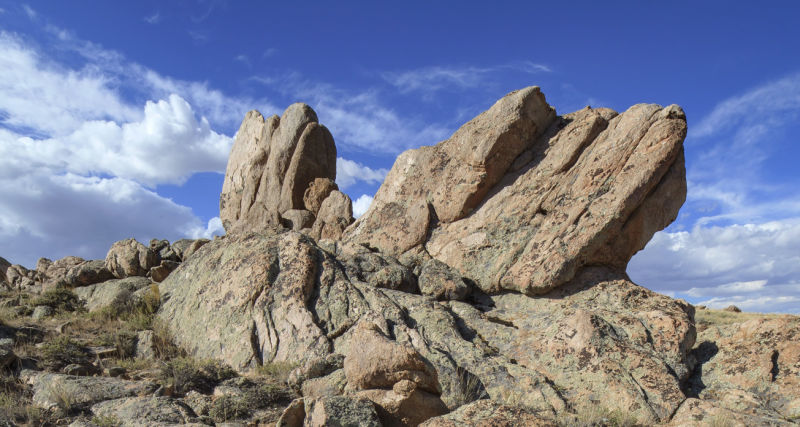 Fossils and Rock Formation